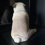 Vintage Pug Statue Image 3