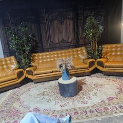 1950 rare pieces sofas