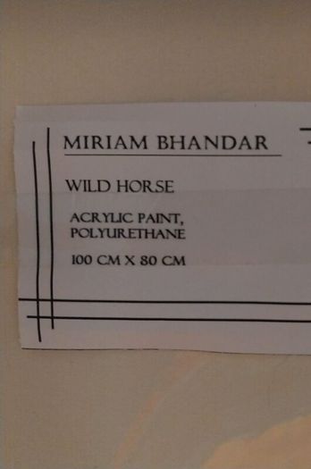 Wild Horse Painting