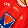 2013/14 Louth GAA Jersey Image 3