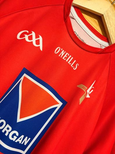 2013/14 Louth GAA Jersey
