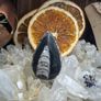 1 Orthoceras Extinct Natural Fossil Black White Handcrafted Ring size 8 Image 2