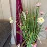 Vase Image 2