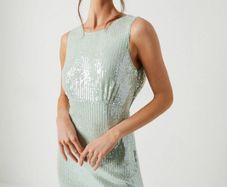 Coast Dress Size 10