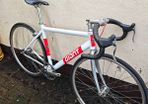 Giant Bowery 72' Medium