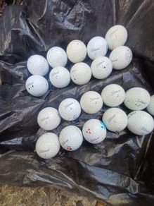 20 titleist pro v 1