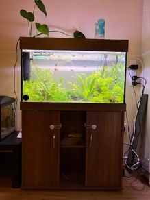 120l fishtank and cabinet