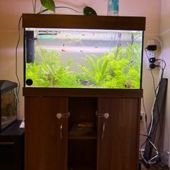 120l fishtank and cabinet