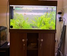 Three complete aquariums