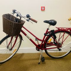 Vintage Ladies Bike