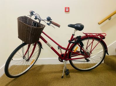 Vintage Ladies Bike