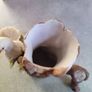 Vintage Capodimonte Italy Doves on Branch with Flowers Porcelain Figure Labels Image 7