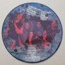 RIGOR MORTIS Ltd edition picture disc Thrash Metal Image 2