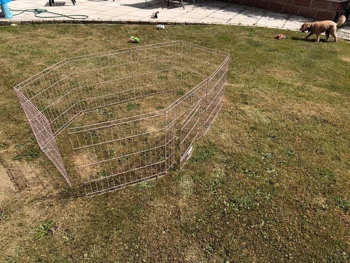 pink playpen