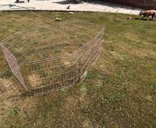 pink playpen