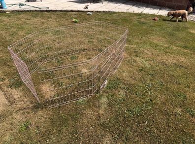 pink playpen