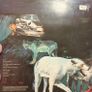 Joni Mitchell Dog Eat Dog Image 2