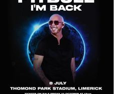 Pitbull Standing Ticket