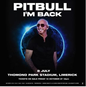 Pitbull Standing Ticket