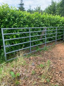 16 ft farm gate