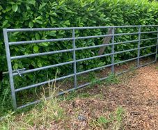 16 ft farm gate