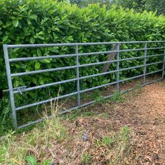16 ft farm gate