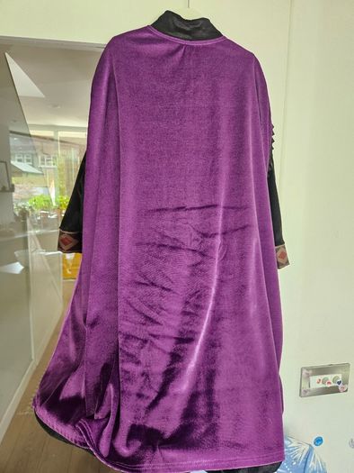 Disney store Anna costume Frozen 2