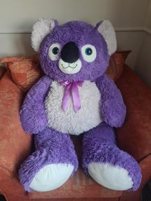 Large Teddy