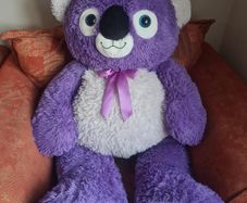 Large Teddy
