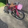 Pinnacle Bike Image 3