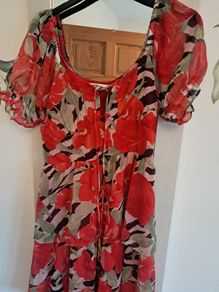 Miss Selfridge Dress