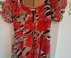 Miss Selfridge Dress