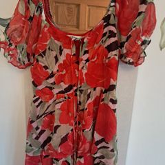 Miss Selfridge Dress