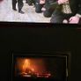 Solid fuel Thermofoc insert Stove 13Kw Image 2