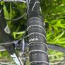 TREK 55cm red/black Claris Groupset Image 5