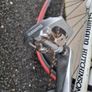 Lapierre Road Bike Image 9