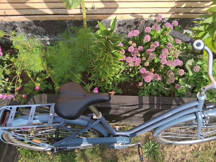 Womens Bike - Excellent condition