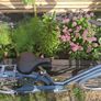 Womens Bike - Excellent condition Image 7