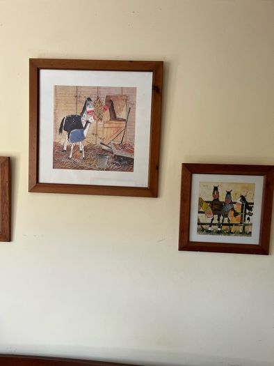 Alex Clark Pony Pictures