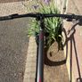 bike Image 2