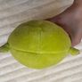 Universal Studios Dreamworks Shrek Cutie Plush approx. 8.5" Used Please see photos Image 9