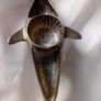 Dolphon Bottle Opener Image 5