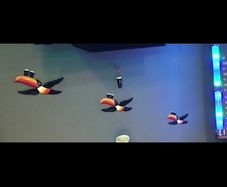guinness tuscan birds