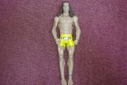 WWE Matt Riddle Action Figure