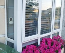 windows/door