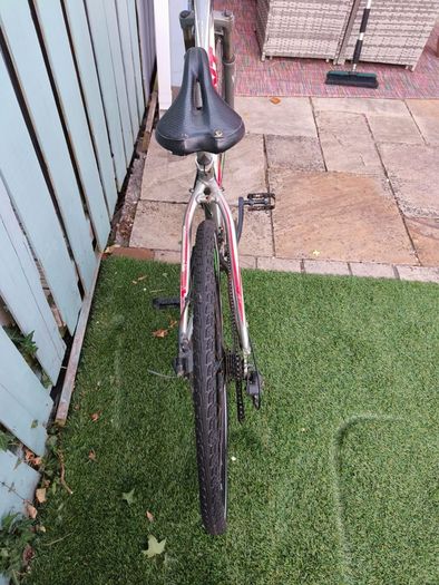 Giant Bike
