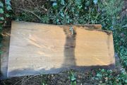 Water Damaged Internal Fire Doors
