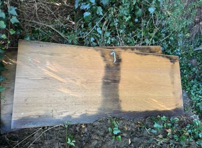 Water Damaged Internal Fire Doors