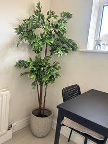 Large plant