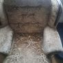 two single armchairs (Free) Image 2